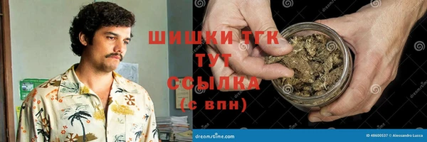 PSILOCYBIN Армянск
