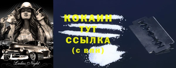 прущий лед Арсеньев