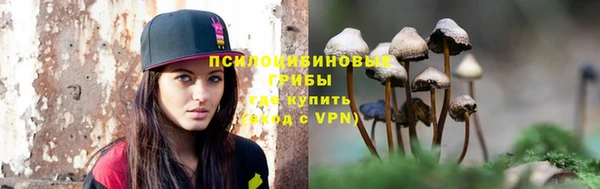 PSILOCYBIN Армянск