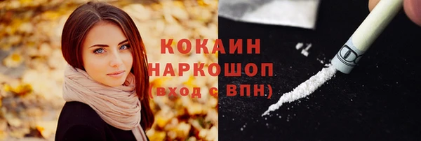 прущий лед Арсеньев