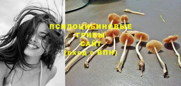 PSILOCYBIN Армянск