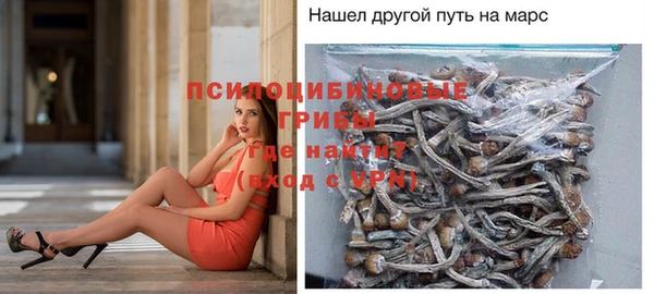 прущий лед Арсеньев