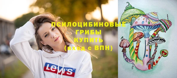 PSILOCYBIN Армянск