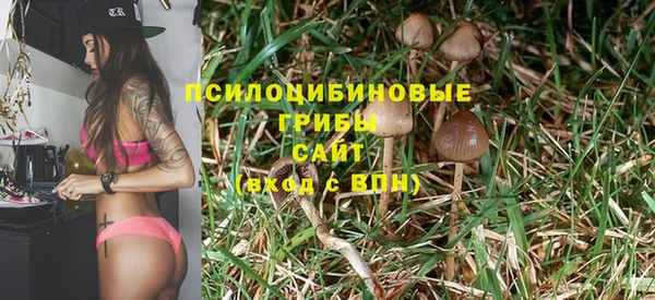 прущий лед Арсеньев
