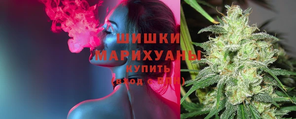 PSILOCYBIN Армянск