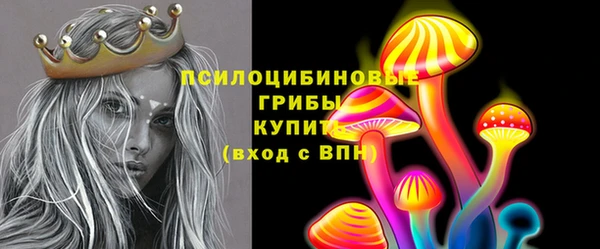 прущий лед Арсеньев