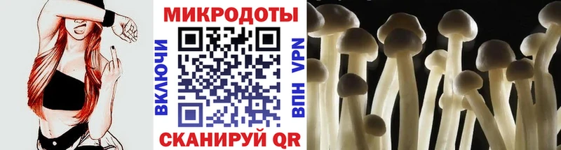 Галлюциногенные грибы ЛСД  Аша 
